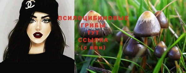 spice Костерёво