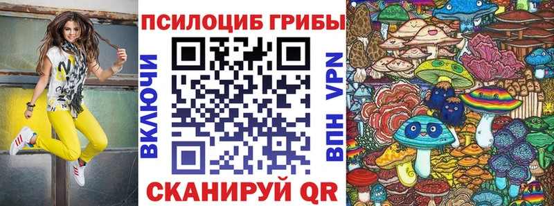 hydra ссылка  Лесозаводск  Псилоцибиновые грибы GOLDEN TEACHER 